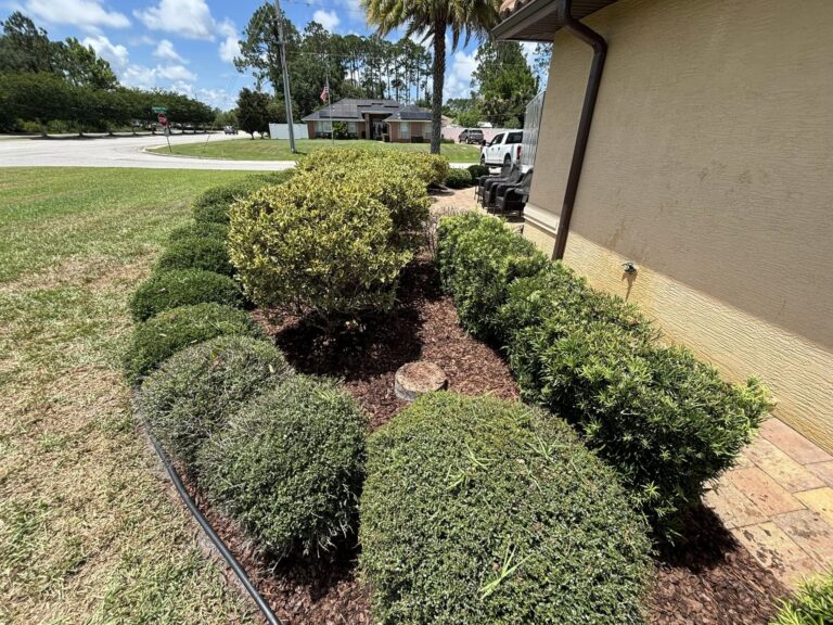 469224356_122116110728589586_8788730780656568489_n