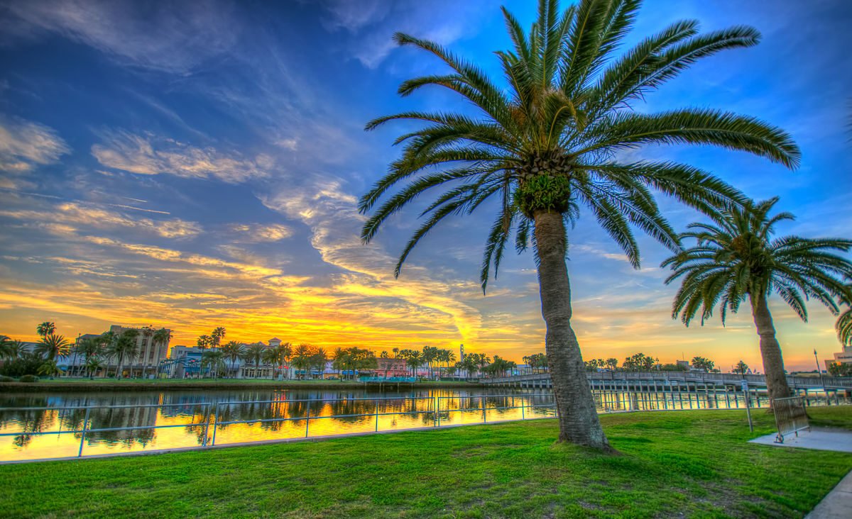 Palm trees and Florida coastal scenery near Palm Coast